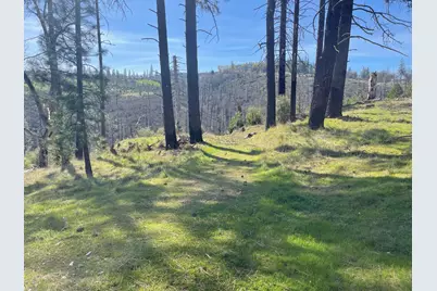 7602 Old Emigrant Trail W, Mountain Ranch, CA 95246 - Photo 18