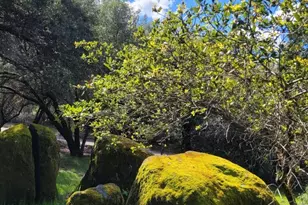 3091 Sand Ridge Rd, Placerville, CA 95667 - Photo 40