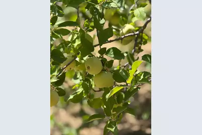 5045 Free Fox Lane, Placerville, CA 95667 - Photo 54