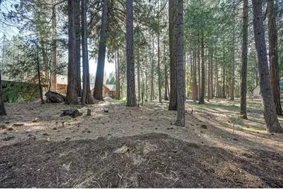 701 Sawmill Road, Alta, CA 95701 - Photo 46