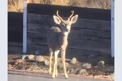 2352 Sanford Court, Rescue, CA 95672 - Photo 56