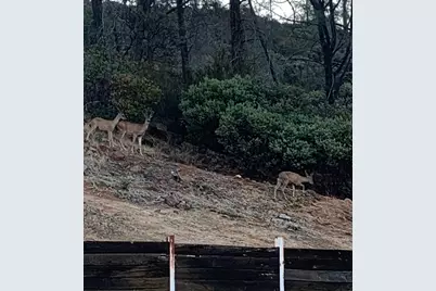 2352 Sanford Court, Rescue, CA 95672 - Photo 54