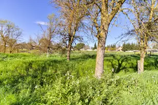 9835 Harvey Rd, Galt, CA 95632 - Photo 30