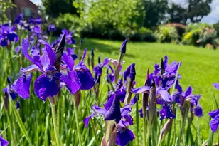 14621 E 8 Mile Rd, Linden, CA 95236 - Photo 10