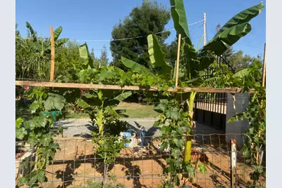 11786 Walmort Road, Wilton, CA 95693 - Photo 42