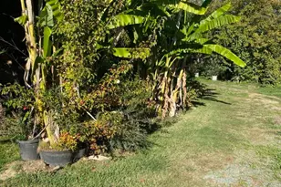 11786 Walmort Rd, Wilton, CA 95693 - Photo 86