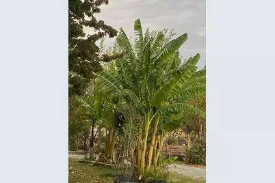 11786 Walmort Road, Wilton, CA 95693 - Photo 80