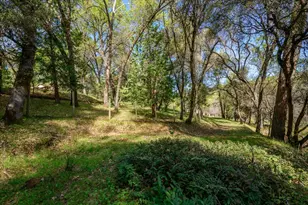 3640 Omo Ranch Rd, Somerset, CA 95684 - Photo 36