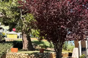 33 Kneeland St, Colfax, CA 95713 - Photo 66