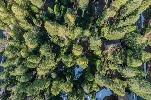 3115 Apache Rd, Dorrington, CA 95223 - Photo 66