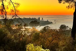 560 Oak View Ct, Pilot Hill, CA 95664 - Photo 8