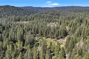 16454 State Hwy 49, Camptonville, CA 95922 - Photo 82