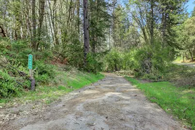 16454 State Highway 49, Camptonville, CA 95922 - Photo 74
