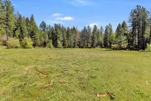16454 State Hwy 49, Camptonville, CA 95922 - Photo 62