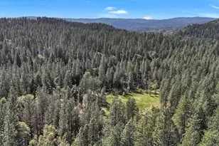 16454 State Hwy 49, Camptonville, CA 95922 - Photo 84