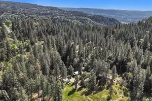 16454 State Hwy 49, Camptonville, CA 95922 - Photo 76