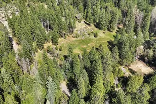 16454 State Hwy 49, Camptonville, CA 95922 - Photo 80