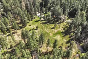 16454 State Hwy 49, Camptonville, CA 95922 - Photo 78