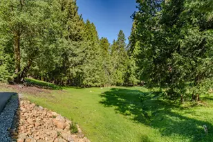 16111 Pioneer Creek Rd, Pioneer, CA 95666 - Photo 46