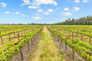 53020 S River Rd, Clarksburg, CA 95612 - Photo 2