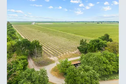 53020 S River Road, Clarksburg, CA 95612 - Photo 6