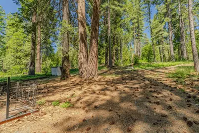 19541 Woodridge Drive, Pioneer, CA 95666 - Photo 8