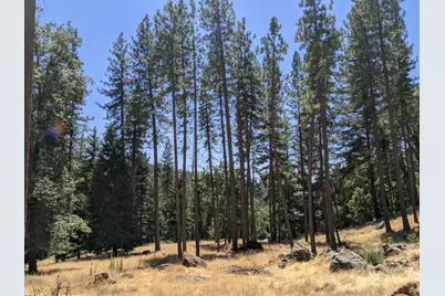 17721 Knoll Top Drive, Grass Valley, CA 95945 - Photo 22