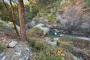280 Gold Bluff Rd, Downieville, CA 95936 - Photo 8
