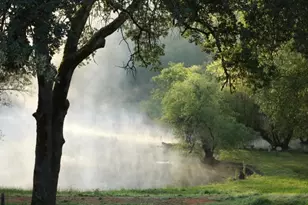 709 Cole Rd, Meadow Vista, CA 95722 - Photo 54