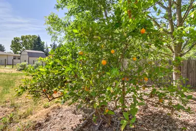 5531 Cypress Avenue, Carmichael, CA 95608 - Photo 32