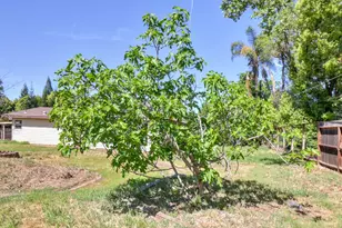 5531 Cypress Ave, Carmichael, CA 95608 - Photo 44