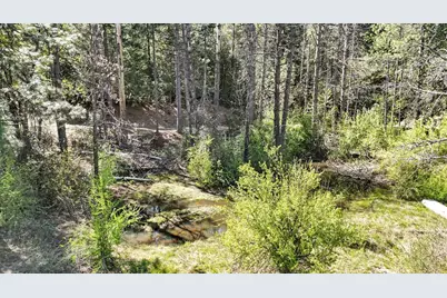 15192 Old Camptonville Road, Camptonville, CA 95922 - Photo 88