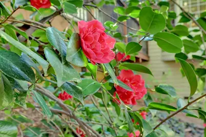 10901 Footwall Drive, Grass Valley, CA 95945 - Photo 58