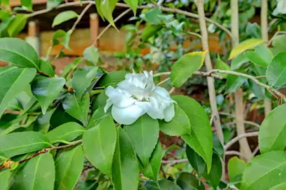 10901 Footwall Drive, Grass Valley, CA 95945 - Photo 56