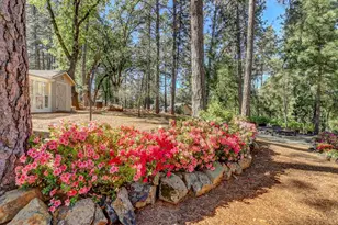 17682 Alexandra Way, Grass Valley, CA 95949 - Photo 44