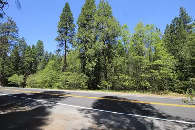 772 Highway 4, Arnold, CA 95223 - Photo 4