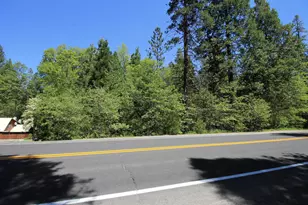 772 Hwy 4, Arnold, CA 95223 - Photo 1