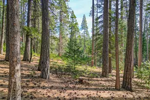 2625 Linnet Ln, Arnold, CA 95223 - Photo 1