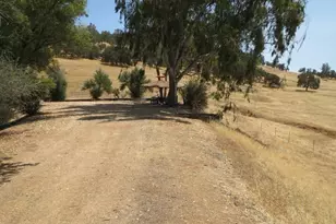 1172 Hodson Rd, Copperopolis, CA 95228 - Photo 90