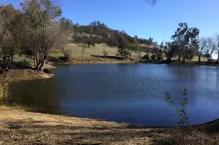 1172 Hodson Rd, Copperopolis, CA 95228 - Photo 78