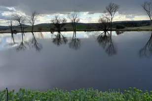 1172 Hodson Rd, Copperopolis, CA 95228 - Photo 76