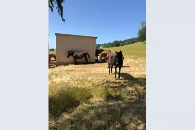 1172 Hodson Road, Copperopolis, CA 95228 - Photo 18