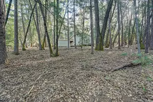 1033 R and R Pl, Colfax, CA 95713 - Photo 60