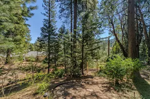 26290 Parkwood Dr, Pioneer, CA 95666 - Photo 44