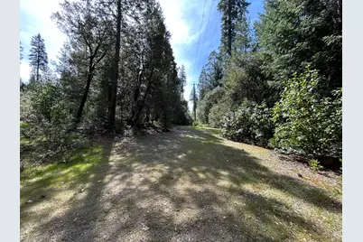 12483 Willow Valley Road, Nevada City, CA 95959 - Photo 6