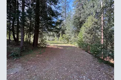 12483 Willow Valley Road, Nevada City, CA 95959 - Photo 10
