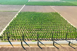 8499 Monte Cristo Ave, Livingston, CA 95334 - Photo 96