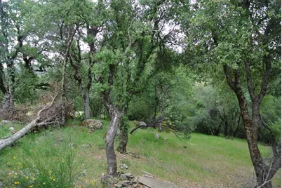 6385 McKeon Ponderosa Way, Foresthill, CA 95631 - Photo 34