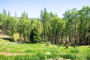 975 Dusty Rd, Colfax, CA 95713 - Photo 22