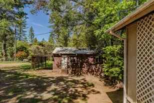 18848 State Hwy 88, Pine Grove, CA 95665 - Photo 64